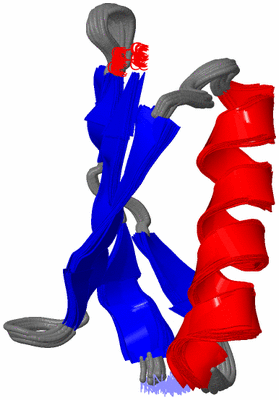 Image NMR Structure - all models