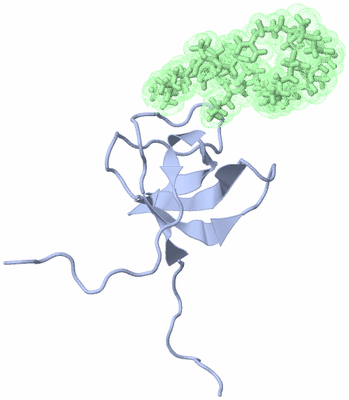 Image NMR Structure - model 1