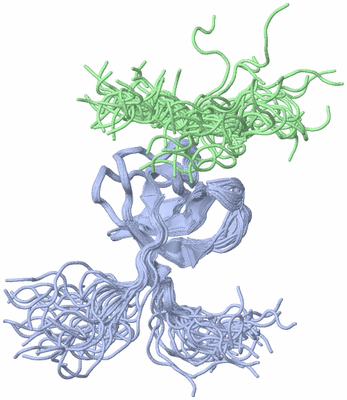 Image NMR Structure - all models