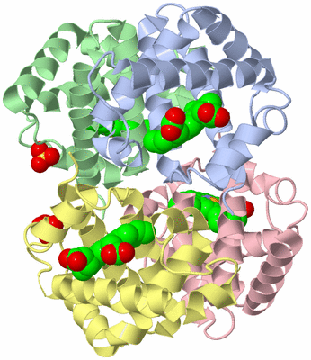 Image Asym./Biol. Unit