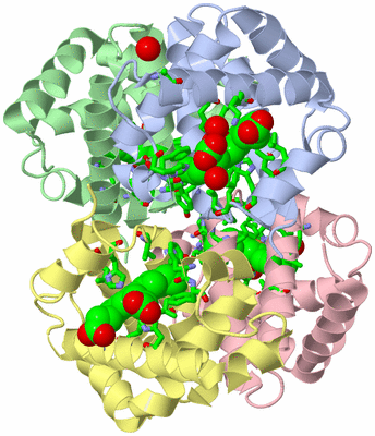 Image Asym./Biol. Unit - sites