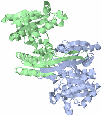 Image Asym./Biol. Unit