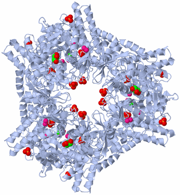 Image Biological Unit 1