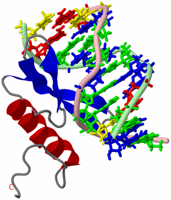 Image NMR Structure - model 1