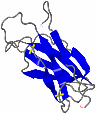 Image NMR Structure - model 1
