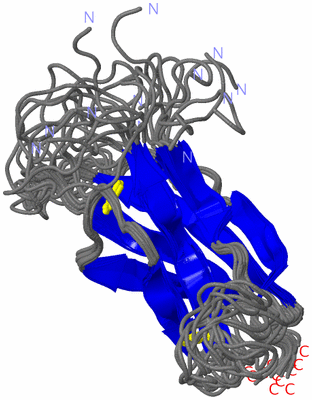 Image NMR Structure - all models