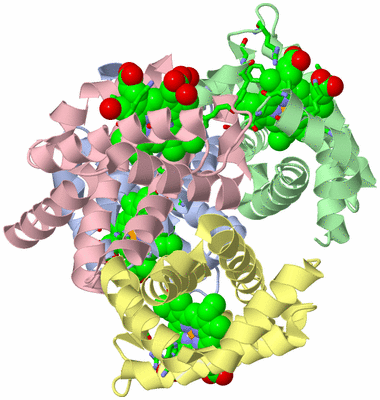 Image Asym./Biol. Unit - sites