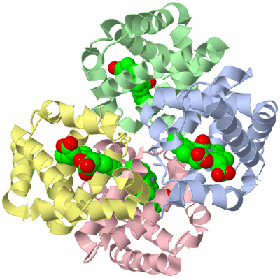 Image Asym./Biol. Unit