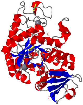 Image Asym./Biol. Unit