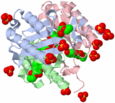 Image Asym./Biol. Unit