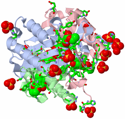 Image Asym./Biol. Unit - sites