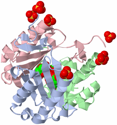 Image Asym./Biol. Unit