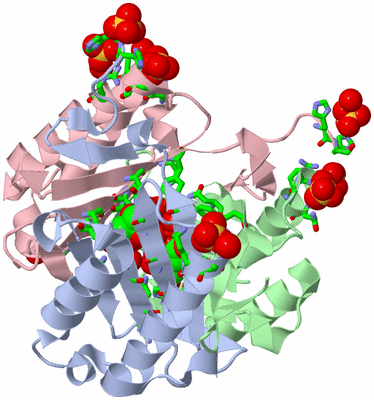 Image Asym./Biol. Unit - sites