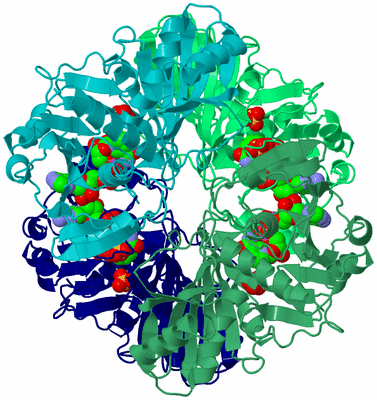 Image Asym./Biol. Unit