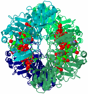 Image Asym./Biol. Unit - sites