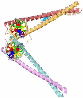 Image Asymmetric Unit