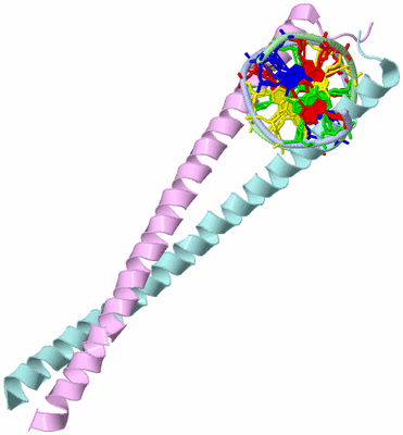 Image Biological Unit 1