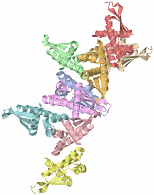 Image Asymmetric Unit