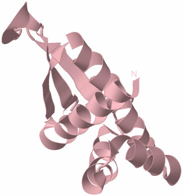 Image Biological Unit 3