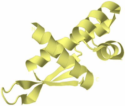 Image Biological Unit 4