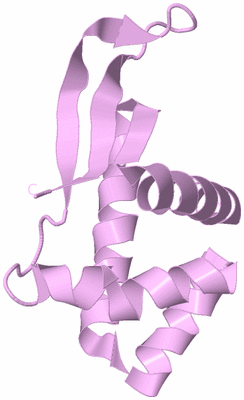 Image Biological Unit 5