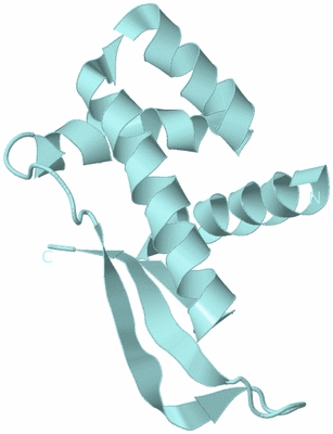 Image Biological Unit 6