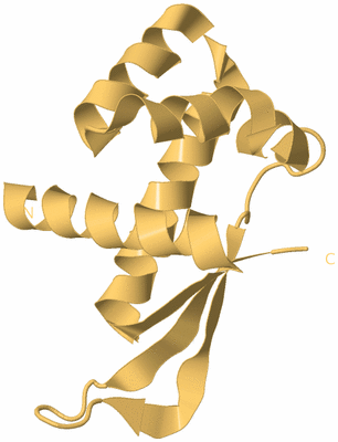 Image Biological Unit 7