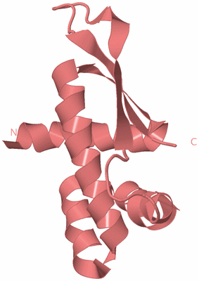 Image Biological Unit 8