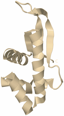 Image Biological Unit 9