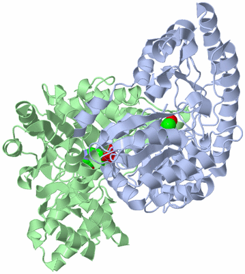 Image Asym./Biol. Unit