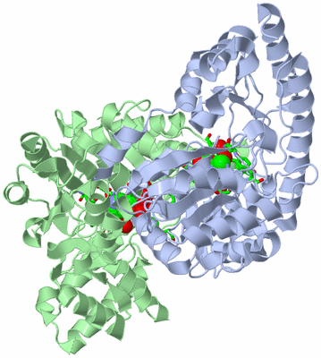 Image Asym./Biol. Unit - sites