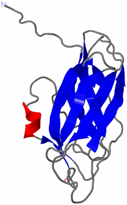 Image NMR Structure - model 1