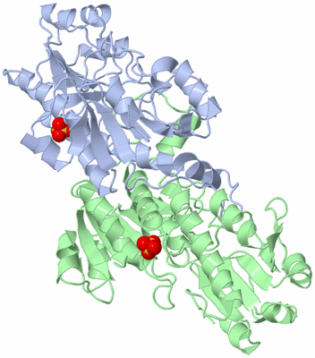 Image Asym./Biol. Unit