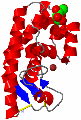 Image Asym./Biol. Unit