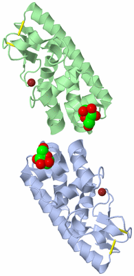 Image Asym./Biol. Unit