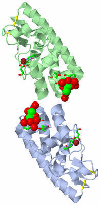 Image Asym./Biol. Unit - sites