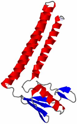 Image NMR Structure - model 1