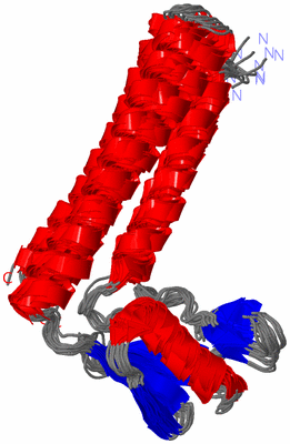 Image NMR Structure - all models