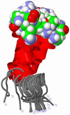 Image NMR Structure - all models