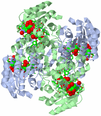 Image Biol. Unit 1 - sites