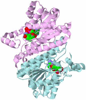 Image Biological Unit 2