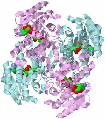 Image Biological Unit 3