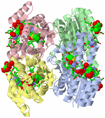 Image Biol. Unit 1 - sites