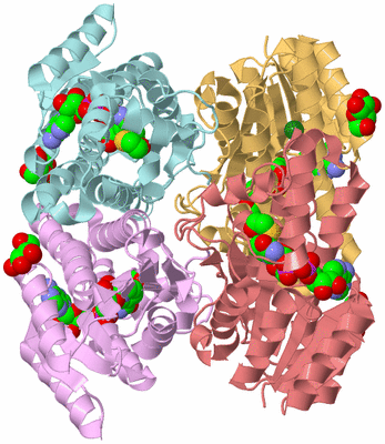 Image Biological Unit 2