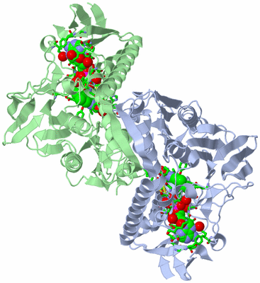 Image Asym./Biol. Unit - sites