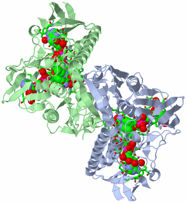 Image Asym./Biol. Unit - sites