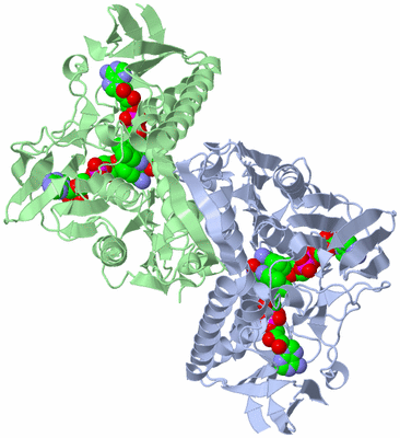 Image Asym./Biol. Unit