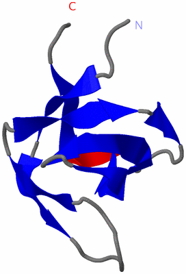 Image NMR Structure - model 1