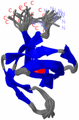 Image NMR Structure - all models