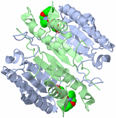 Image Biological Unit 4